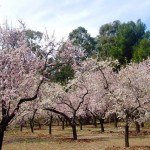 Quinta de los Molinos