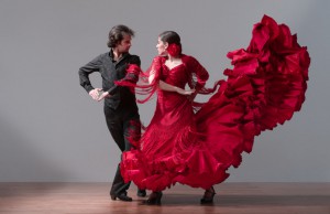 flamenco