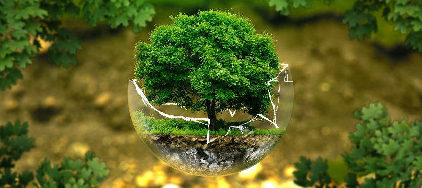 Medio ambiente y cambio climático