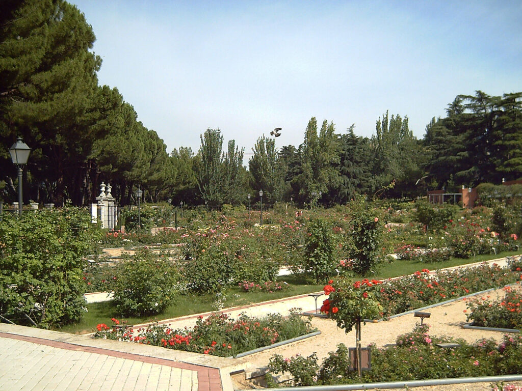 Rosaleda del Parque del Oeste Madrid