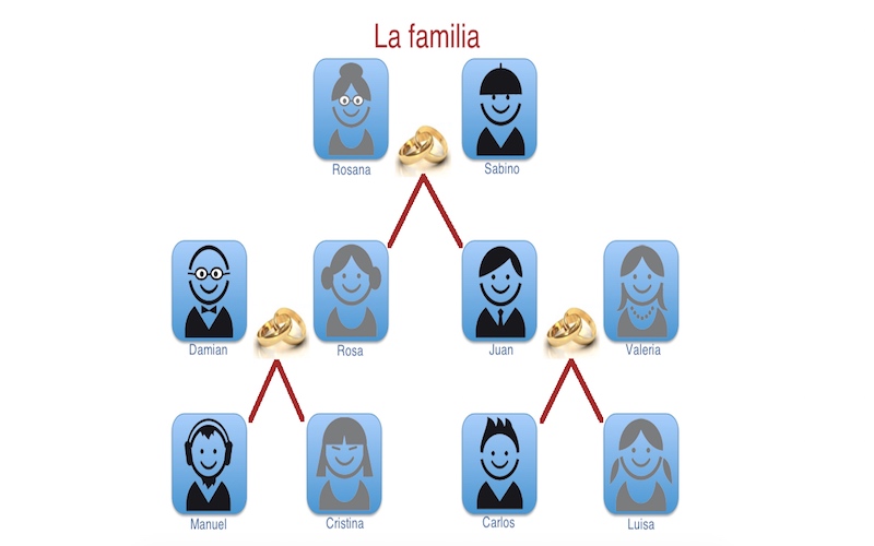 Possessive adjectives. Family in Spanish