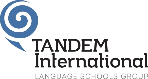 TANDEM Internacional logo
